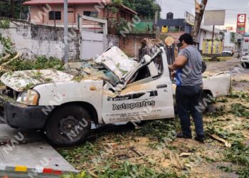 Árbol colapsa sobre camioneta durante fuerte lluvia en Tapachula; conductor sobrevive de milagro