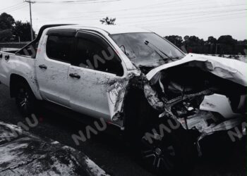 Dos caballos mueren tras ser atropellados en la carretera Tapachula – Tuxtla Chico