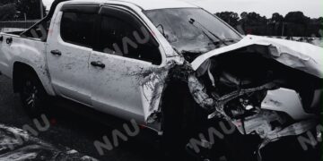 Dos caballos mueren tras ser atropellados en la carretera Tapachula – Tuxtla Chico