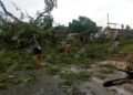 Lluvias y rachas de viento provocan caída de árboles y daños materiales en distintos sectores de Tapachula