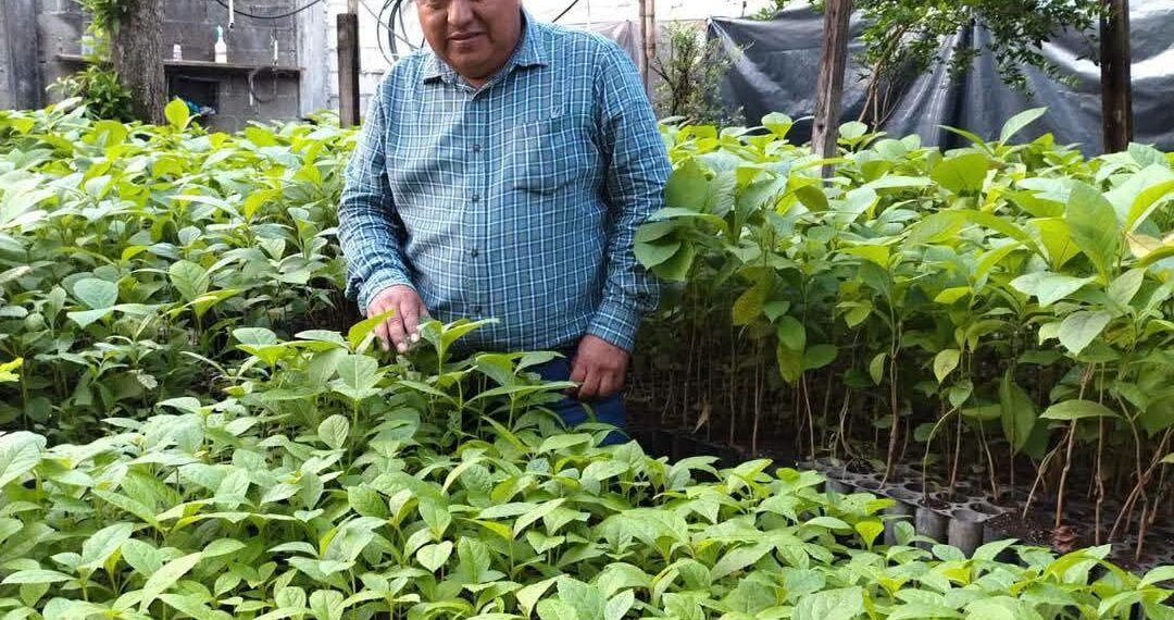 Suchiate se prepara para Jornada Nacional de Reforestación con meta de sembrar 9 mil 500 árboles