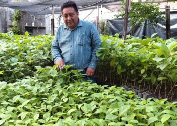 Suchiate se prepara para Jornada Nacional de Reforestación con meta de sembrar 9 mil 500 árboles