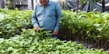 Suchiate se prepara para Jornada Nacional de Reforestación con meta de sembrar 9 mil 500 árboles