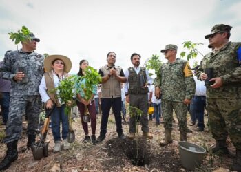 Con más de un millón de árboles, Chiapas se suma a la Jornada Nacional de Reforestación impulsada por Claudia Sheinbaum