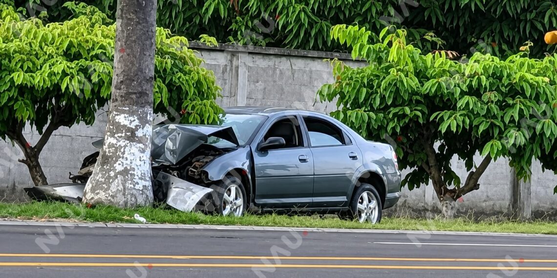 Vehículo queda destrozado tras chocar contra una palmera en la carretera a Puerto Madero
