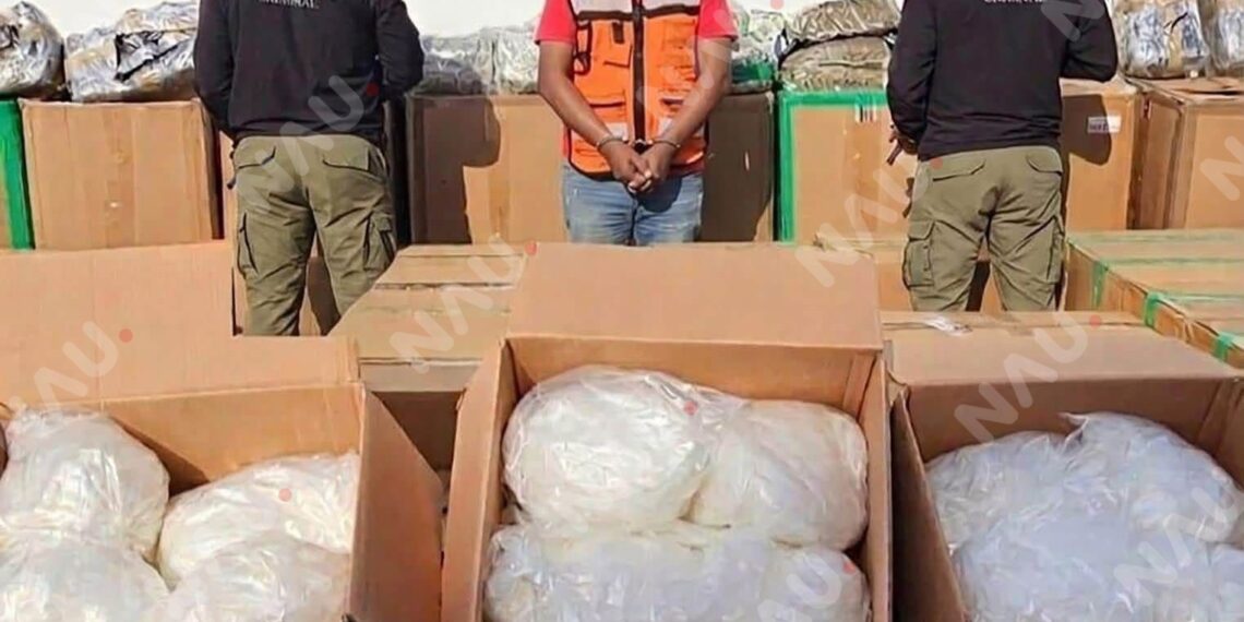 Aseguran casi dos toneladas de marihuana y metanfetamina ocultas en paquetes de dulces en Tabasco