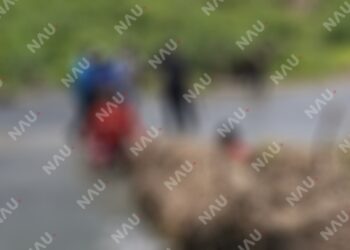 Operativo con buzos de la Marina concluye con el hallazgo de transportista desaparecido