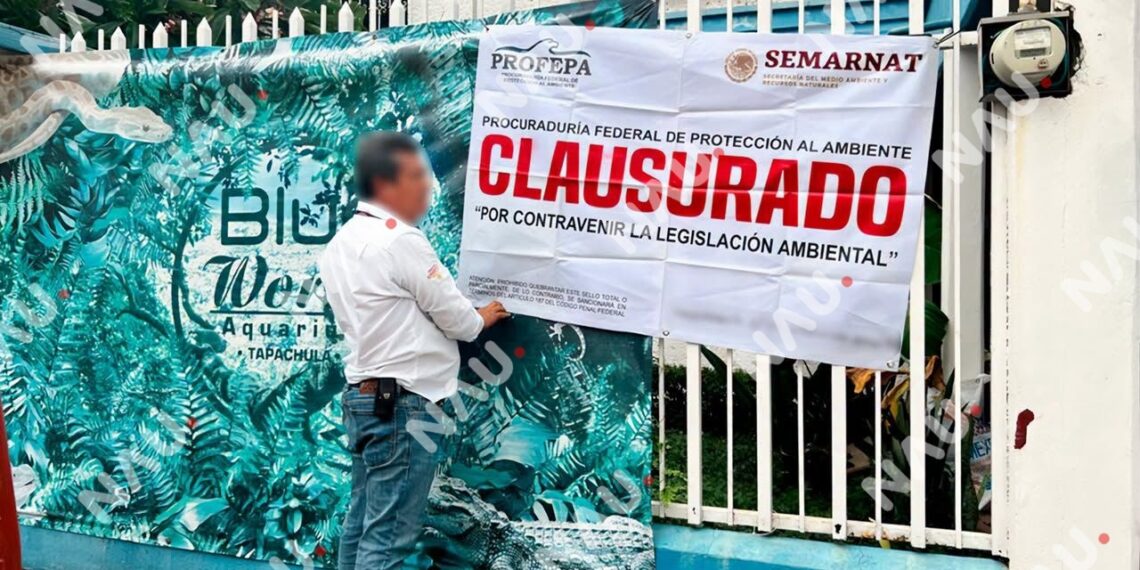 Parte afectada cuestiona actuación de Profepa tras inspección en Tapachula