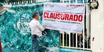 Parte afectada cuestiona actuación de Profepa tras inspección en Tapachula