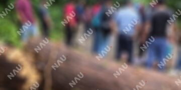 Árbol cae sobre motociclistas en carretera Nueva Alemania; dos lesionados