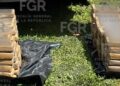 LLEVA FGR A PROCESO A UNA PERSONA DETENIDA CON 170 PAQUETES CON CLORHIDRATO DE COCAÍNA EN CHIAPAS